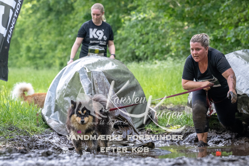 1240_ZZ92916 | kk-dogfotos