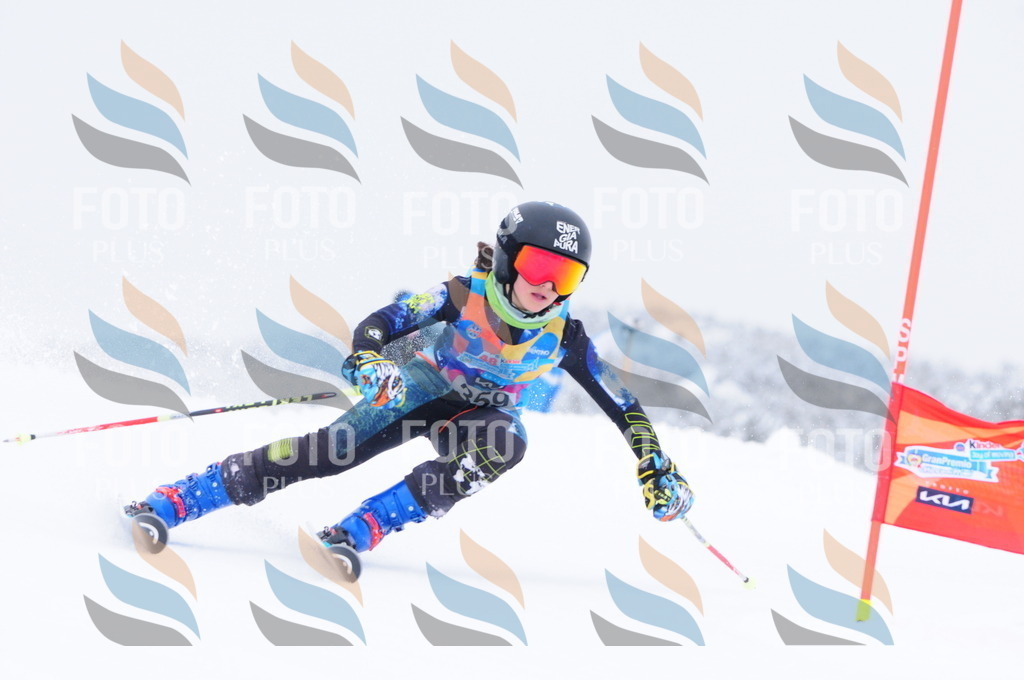 C3841 | holidayphoto