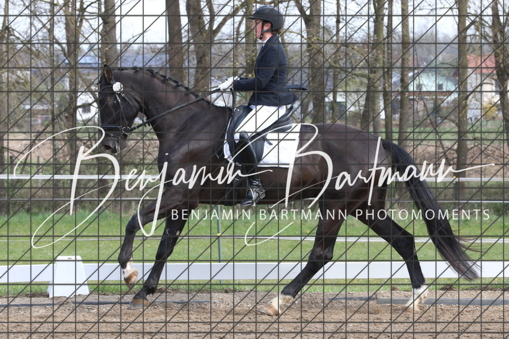 AZ2A6621 | Benjamin Bartmann Photomoments