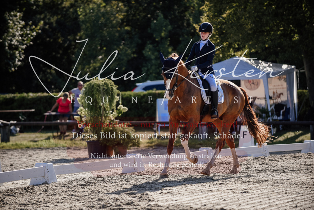 DSC_0498 | Pferde- und Turnierfotografie in Westsachsen. Pferdeportraits, Auftragszeichnungen und intuitive Kunst.