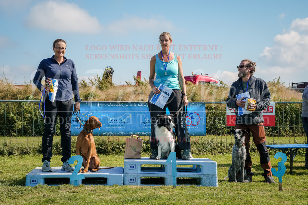 20250928_Hunderennen-773 | MuT (Mensch und Tier) mit Mona - Fotografie und Tierkommunikation - Realisiert mit Pictrs.com