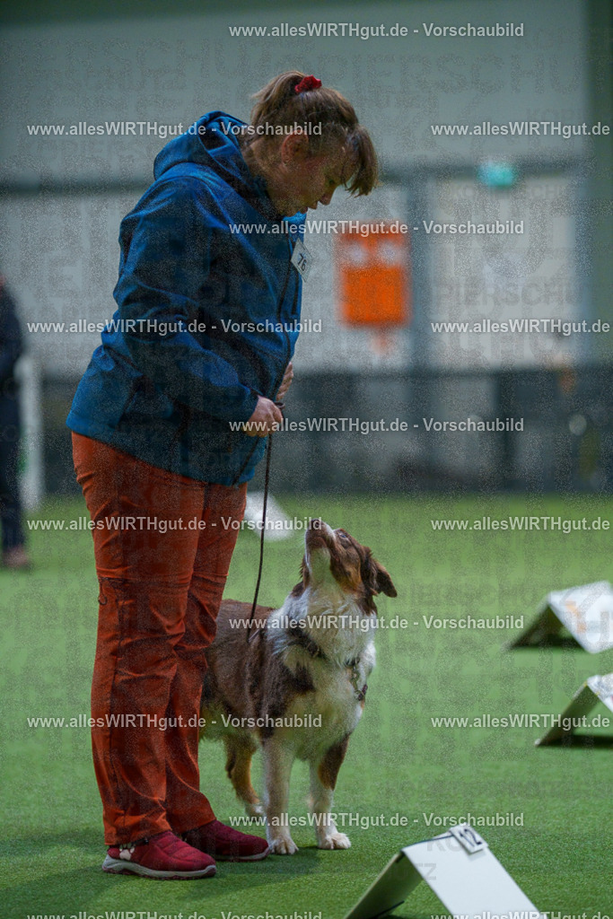 7R502929 | Professionelle Tierfotografie in Mönchengladbach von Daniel Wirth (allesWIRTHgut). Liebevolle & natürliche Bilder von Hunden & Katzen für unvergessliche Erinnerungen.