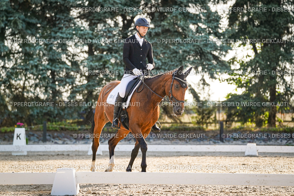 DSC08318 | Pferdegrafie