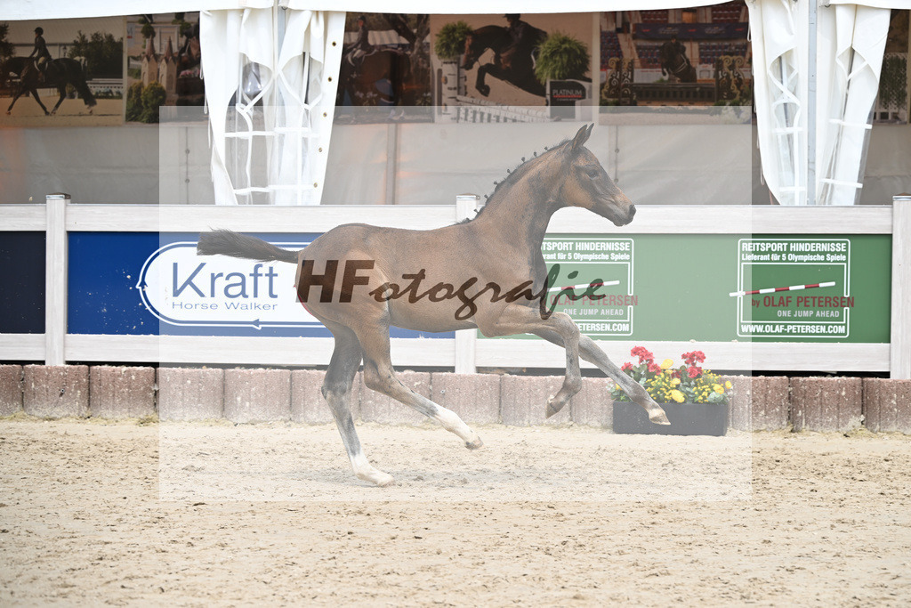 St. Emilion x Zoom_SF_Braig u Meyer_12250628 | hf-fotografie - Realisiert mit Pictrs.com