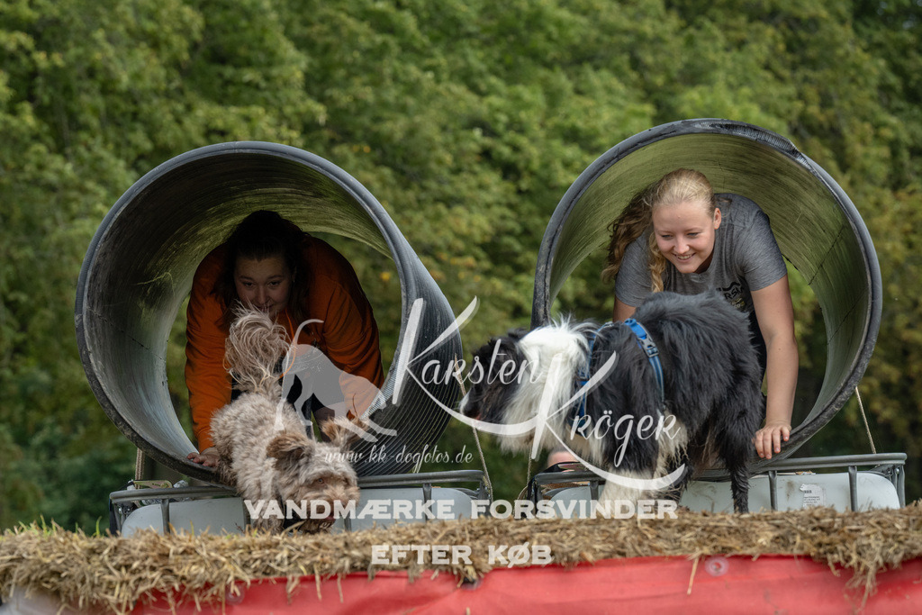 1149_ZZ90661 | kk-dogfotos