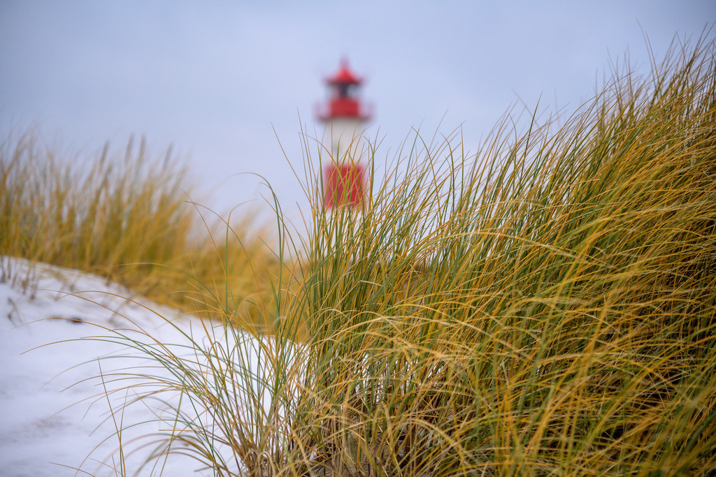 sylt-2022-244 | Der nach List-West zweitnördlichste Leuchtturm von Deutschland steht auf der Nordostseite der Insel Sylt, fast am Ende der Halbinsel Ellenbogen. - Realisiert mit Pictrs.com