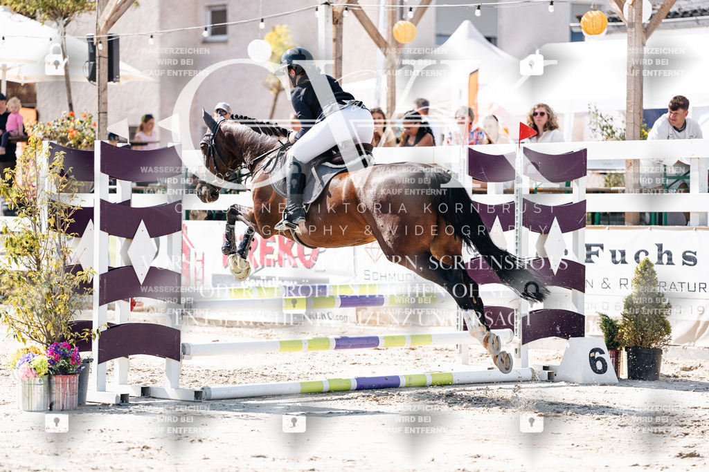 CK905253 | Turnierfotografie Pferdefotografie Trier Rheinland-Pfalz Pferdesport Reitsport Tierfotografie Sportfotografie Pferdevideo Pferdevideografie Equestrianvideography equestrianphotography  - Realisiert mit Pictrs.com