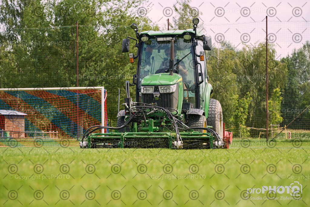 202507_Rernböck-Rasen_NZ9_1405 | proPHOTO - Realisiert mit Pictrs.com