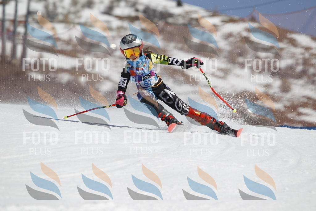 _U3G0101 | holidayphoto