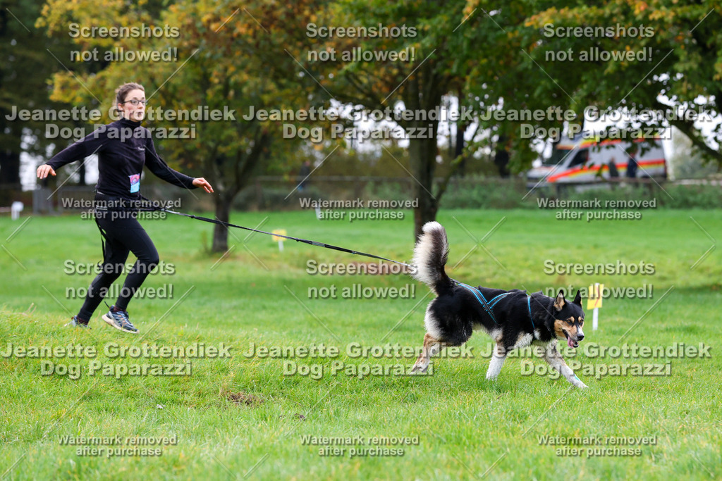 Dog Paparazzi -  SD1026-1170 | Dog Paparazzi Jeanette Grottendiek Fotografie & Videografie - Realisiert mit Pictrs.com
