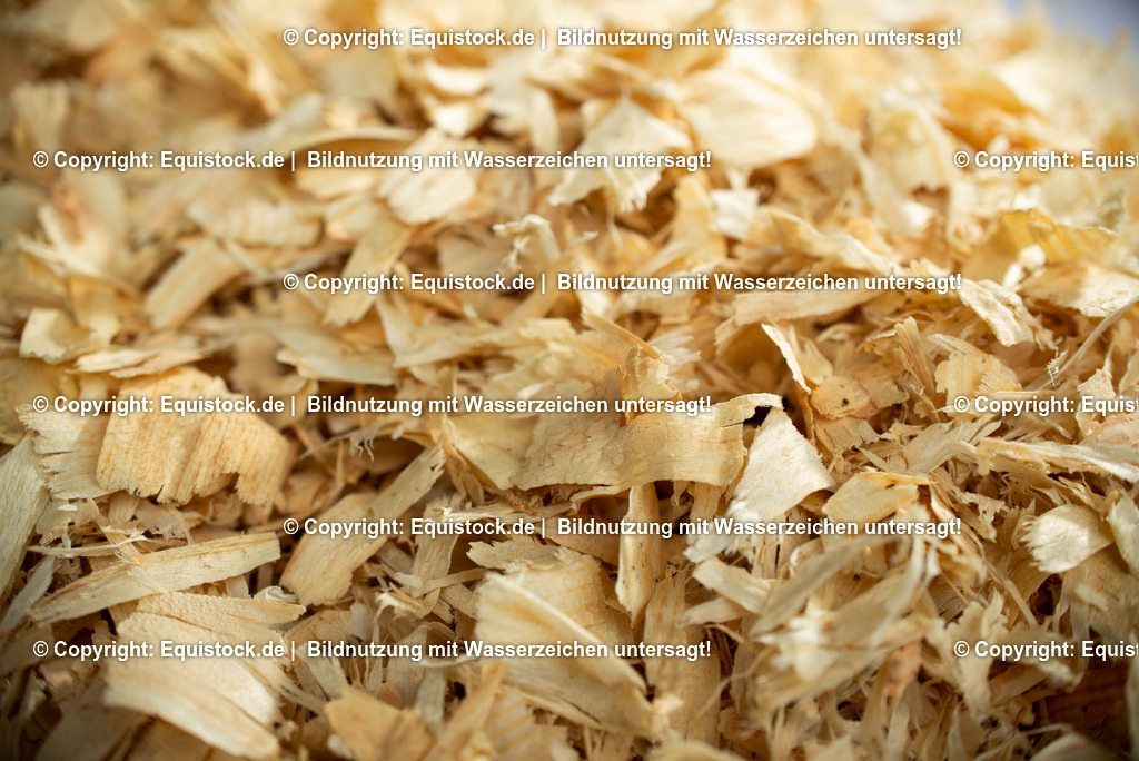 20190409_Rundholz-Span_0011 | Foto: Thomas Hartig