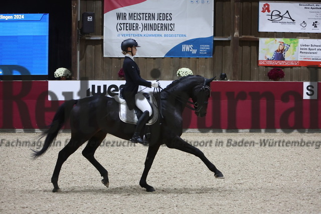Reutlingen_2024_Prfg.Nr.04_Intermediaire I_Kür_Louisa Reisch_Bandol 3 (17) | Alle Fotos der Reiterjournal Fotografin Doris Matthaes im Reiterjournal Online-Fotoshop. - Realisiert mit Pictrs.com