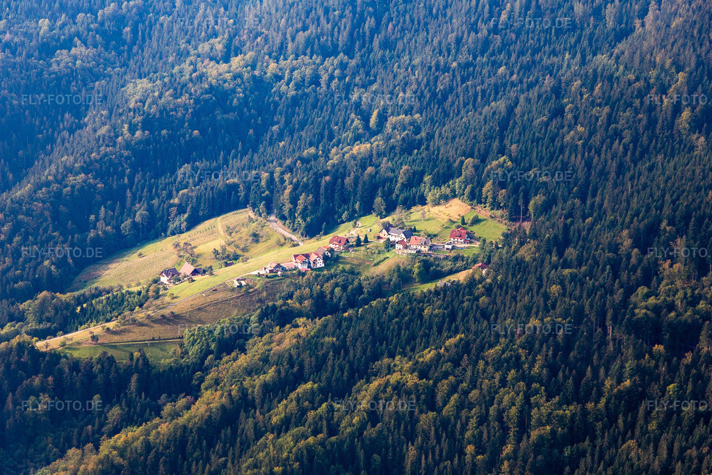 Luftbild: Herlesries in Oppenau im Bundesland Baden-Württemberg in Deutschland. Foto: IMG_008870.jpg vom 20.09.2020 durch Werner Riehm/FLY-FOTO.de