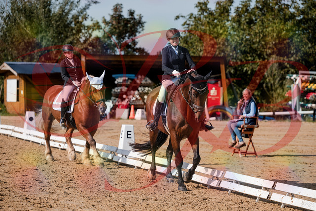 2026_10_03_Siefer-Hof_130422_Z63_67038903 | Professionelle Reitsport-, Turnier- und Eventfotografie von Robert Broda. Galerien mit ausgewählten und bearbeiteten Bildern direkt online ansehen und bestellen.