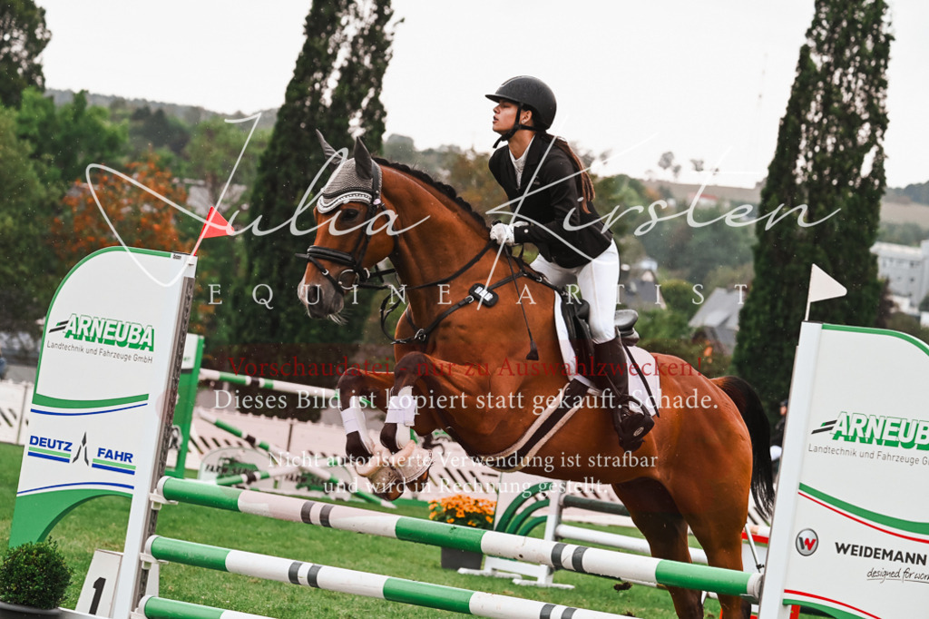 DSC_6638 | Pferde- und Turnierfotografie in Westsachsen. Pferdeportraits, Auftragszeichnungen und intuitive Kunst.