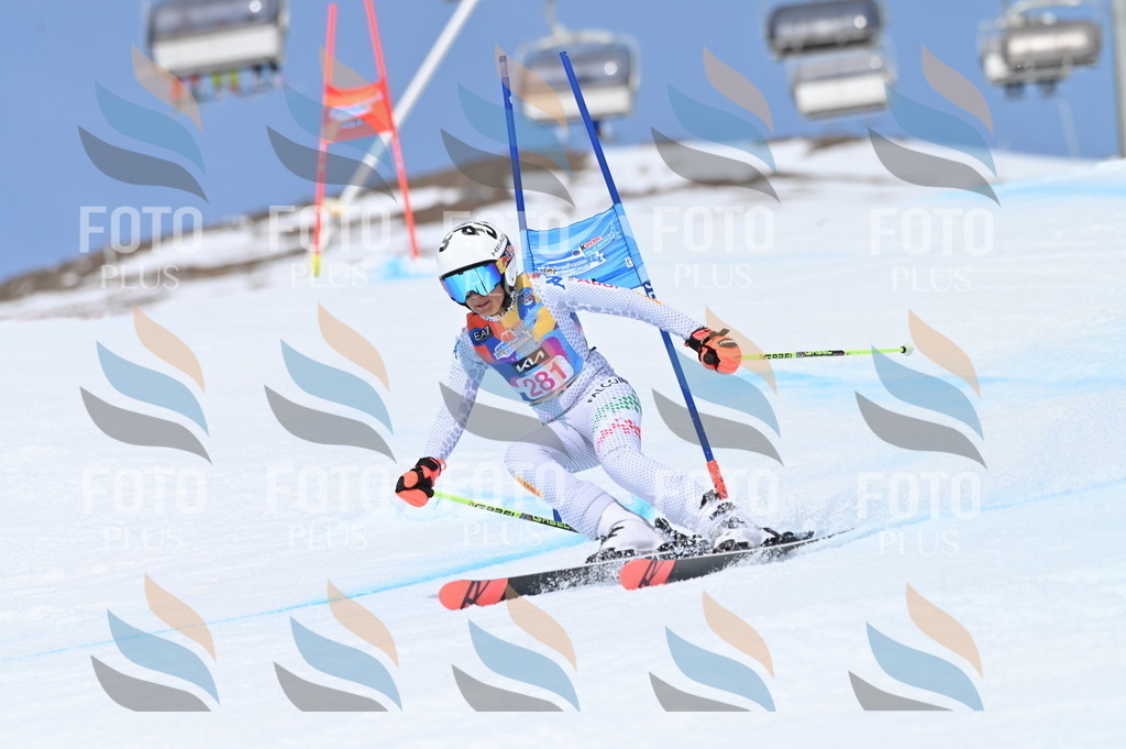 BGV_2429 | holidayphoto