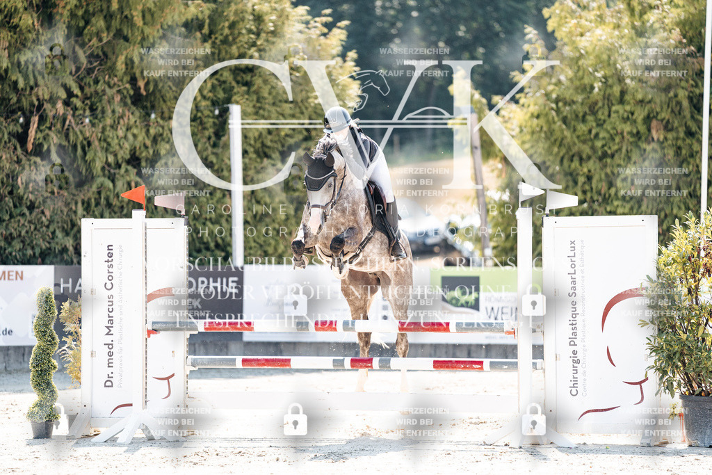CK908548 | Turnierfotografie Pferdefotografie Trier Rheinland-Pfalz Pferdesport Reitsport Tierfotografie Sportfotografie Pferdevideo Pferdevideografie Equestrianvideography equestrianphotography  - Realisiert mit Pictrs.com