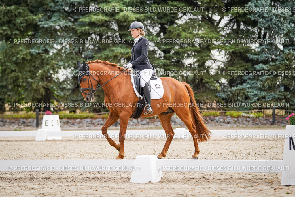 DSC01383 | Pferdegrafie