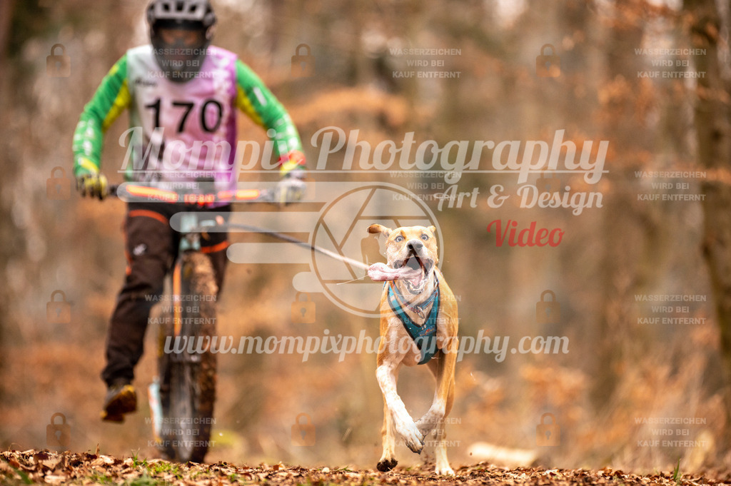 AKM_ST_2023_SAM_Scooter-39 | PayLife