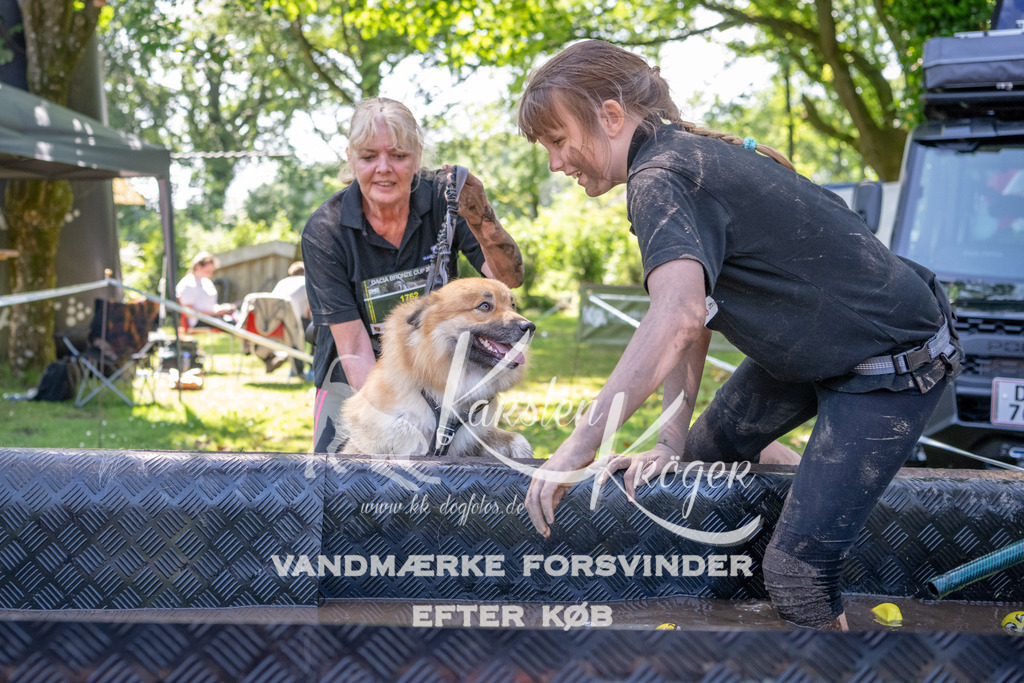 1427_ZZ94245 | kk-dogfotos