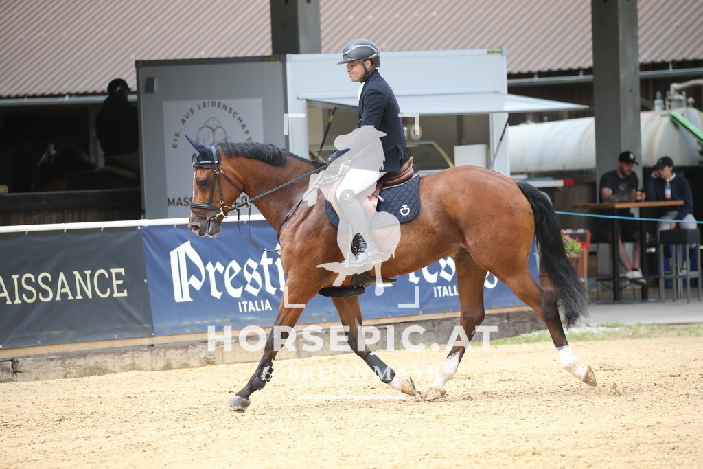 DL2Q2688 | Willkommen bei Brunnmayr - Design & Fotografie – Ihrem Spezialisten für Reitturniere und Pferdeveranstaltungen in Oberösterreich, Salzburg und Bayern! Seit über 17 Jahren sind wir leidenschaftlich dabei.
