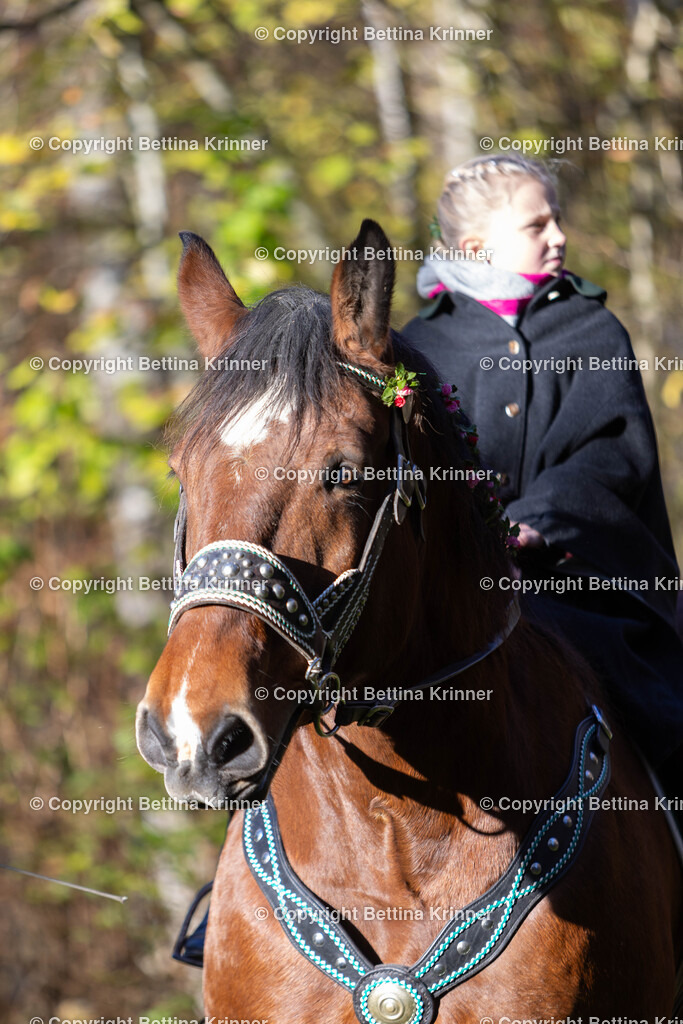 LL24-252 | foto-bettina-krinner - Realisiert mit Pictrs.com