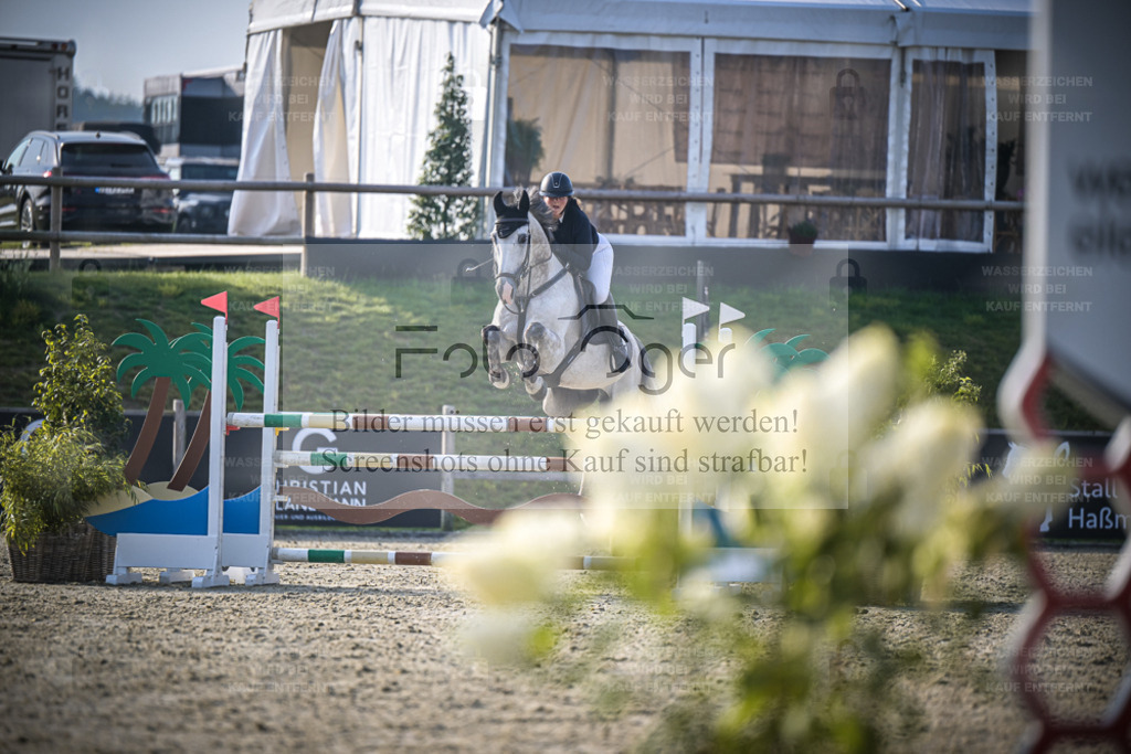 DOS_1711 | Entdecke hochwertige Reitturnierfotos von Foto Oger. Professionell, emotional und authentisch – jetzt Lieblingsmomente im Shop bestellen. - Realisiert mit Pictrs.com