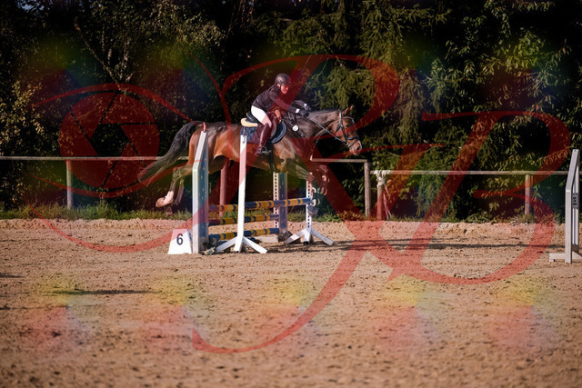 2026_10_03_Siefer-Hof_160007_Z81_80602126 | Professionelle Reitsport-, Turnier- und Eventfotografie von Robert Broda. Galerien mit ausgewählten und bearbeiteten Bildern direkt online ansehen und bestellen.