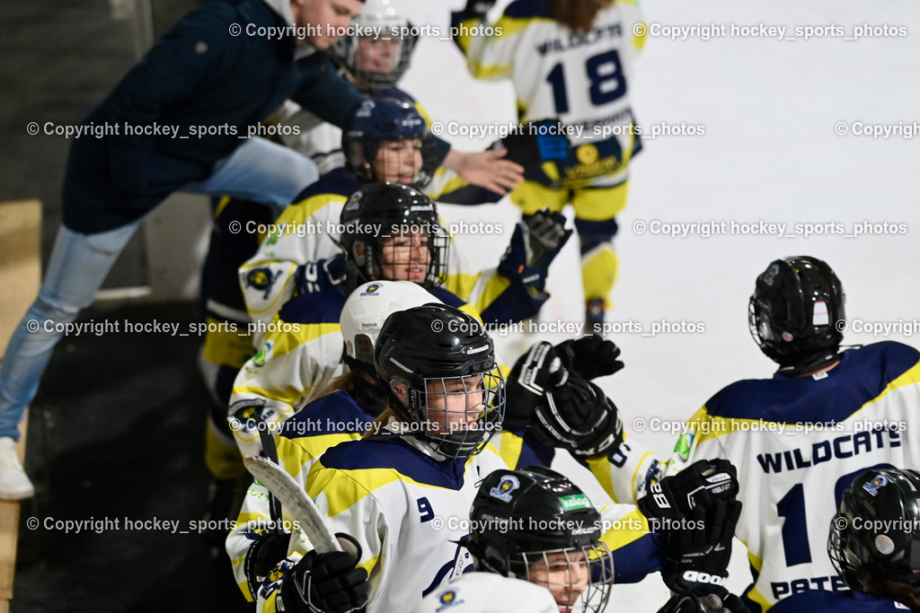LADY HAWKS vs. WILDCATS PATERNION | Jubel Wildcats Mannschaft, LADY HAWKS vs. WILDCATS PATERNION, LADY HAWKS vs. WILDCATS PATERNION am 12.03.2025 in Steindorf (Ossiachersee Halle), Austria, (Photo by Bernd Stefan)