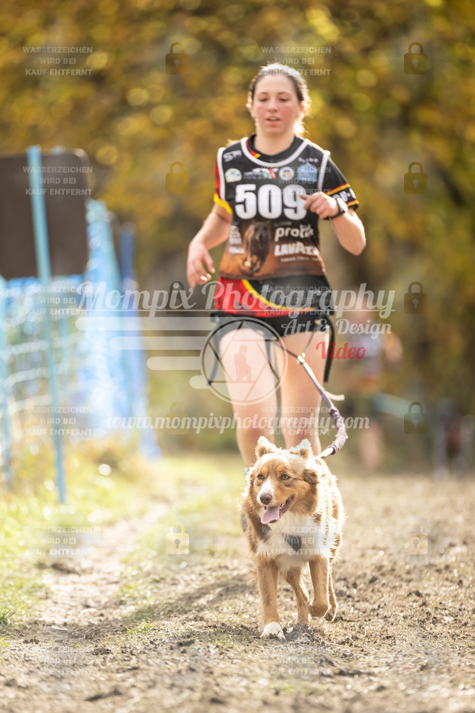 MompixPhotography_ICF_WC_2024_SA_Run_-529 | PayLife