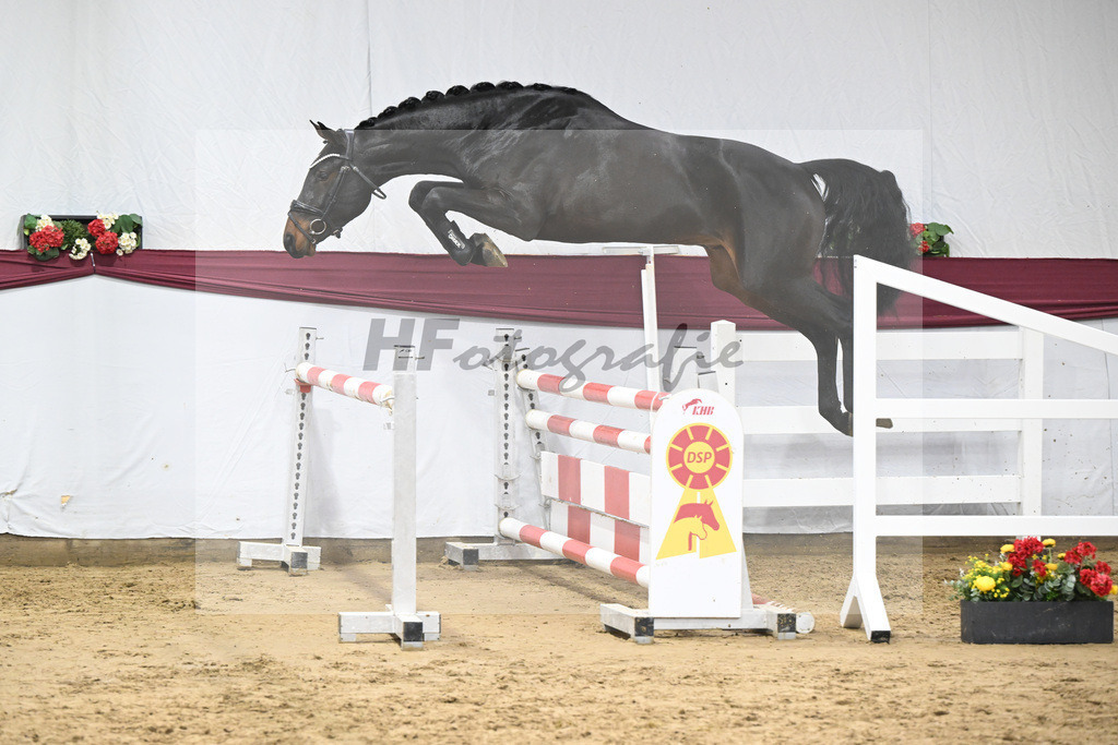 Kat-Nr. 85 Heartbreaker x Diarado_Juergen Laue_47252868 | hf-fotografie - Realisiert mit Pictrs.com