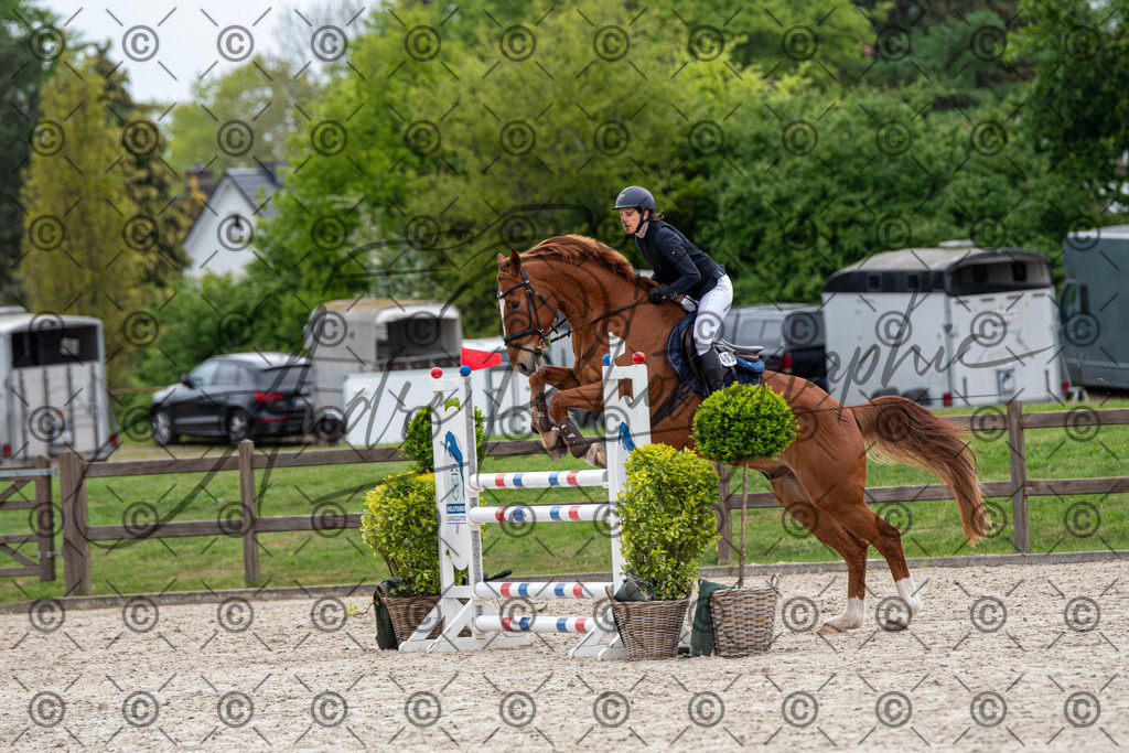 KPT_8428 | andre_photographic