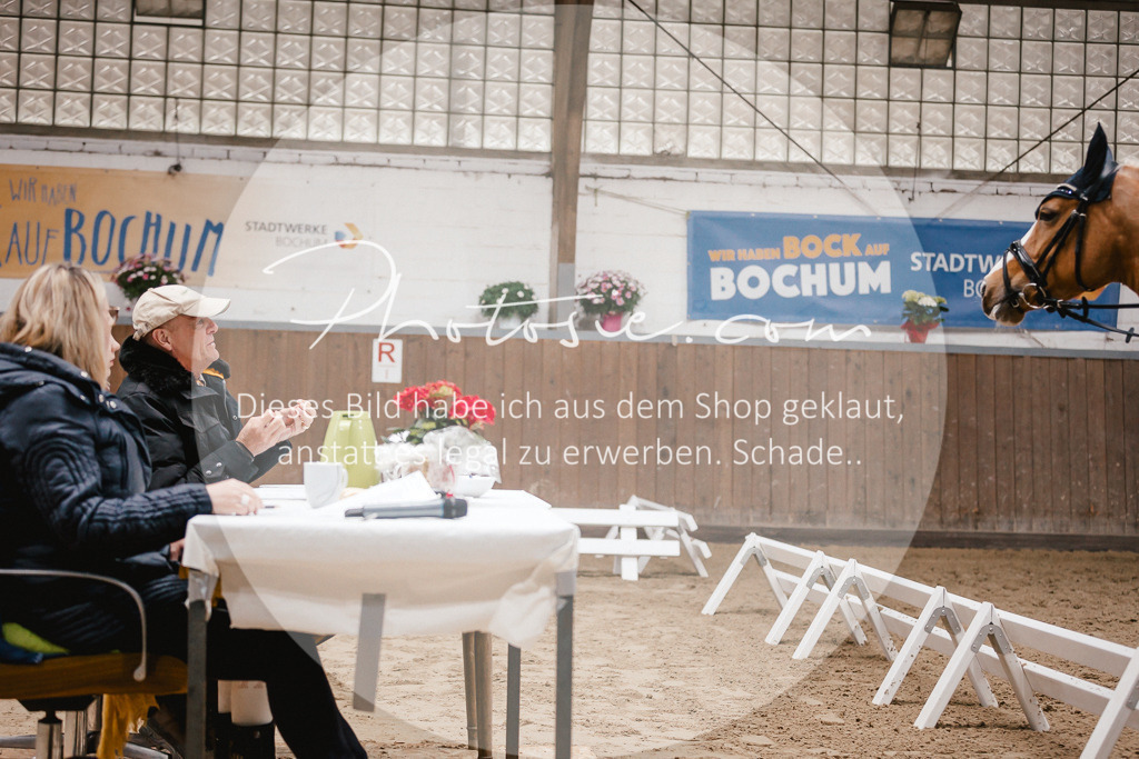 3I6A6288 | Stimmungsvolle Portraits und Reitsportfotografie im Ruhrgebiet und im Münsterland.

Pferdefotografie, Hundefotografie, Tierfotografie, Reportagen, Portraits von Tier und Mensch, Turnierfotografie in Bochum, Recklinghausen, Marl, Haltern am See, Dülmen.. - Realisiert mit Pictrs.com