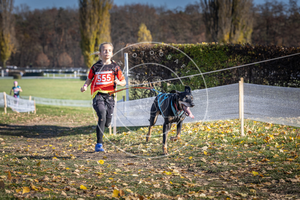 CaniXpix_DV3A8546 | Hundefotografie, Tierfotograf, Pfotenfotografie, Fotoshooting Hund, Hunde Portrait, Hundesport, Hundeportraits, Heideshooting, Hunde, Sportfotograf, Hundefotograf, Turnierhundsport, THS,  - Realisiert mit Pictrs.com