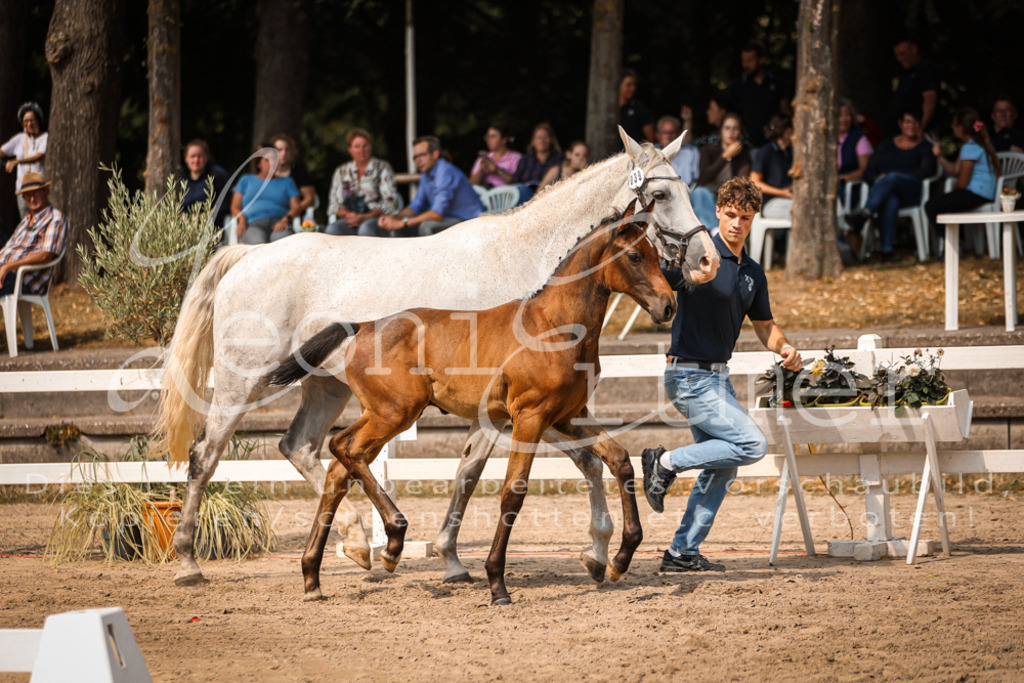 07.DoWBS00092 | Leoni Ertmer Photography - Realisiert mit Pictrs.com