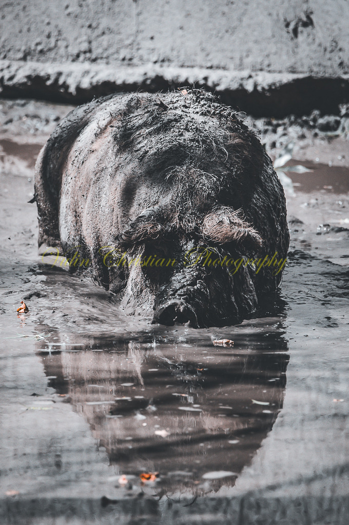 P 94 | Christian Vulin  - Realisiert mit Pictrs.com