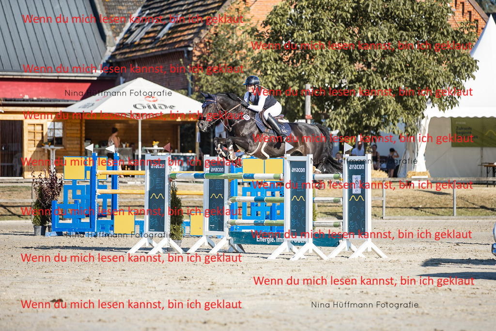 BK1A8735 | Turnierbilder Turnierfotos Nina Hüffmann Turnierfotografie Pferdefotografie Tierzeichnung Haustierzeichnung Pferdezeichnung Hundezeichnung Videograf  - Realisiert mit Pictrs.com