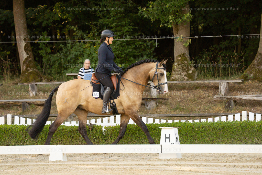 WA_DR_93_SinaFilmArt_IN09863 | working equitationturnier fotograf videograf stoibphotography marixx film working equitation deutschland reitsport turnierfotografie eventfotografie equestrian events