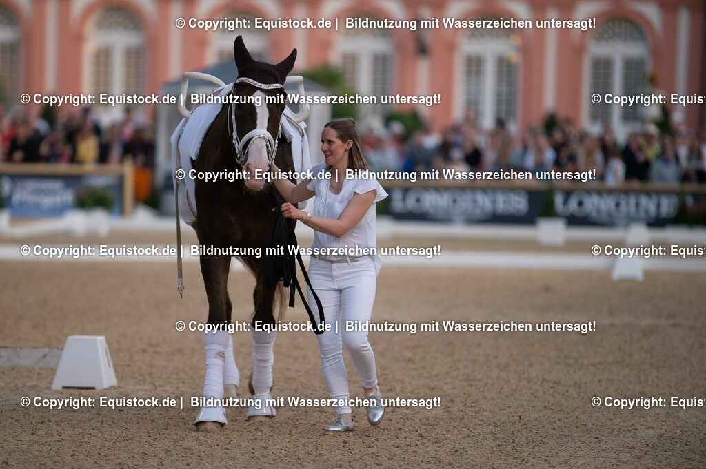 20230527_Voltigieren_NASPA_Flutlicht_0060 | equistock