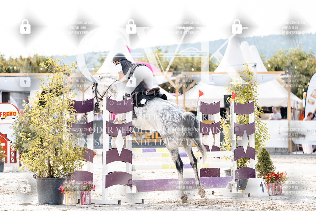 CK905997 | Turnierfotografie Pferdefotografie Trier Rheinland-Pfalz Pferdesport Reitsport Tierfotografie Sportfotografie Pferdevideo Pferdevideografie Equestrianvideography equestrianphotography  - Realisiert mit Pictrs.com