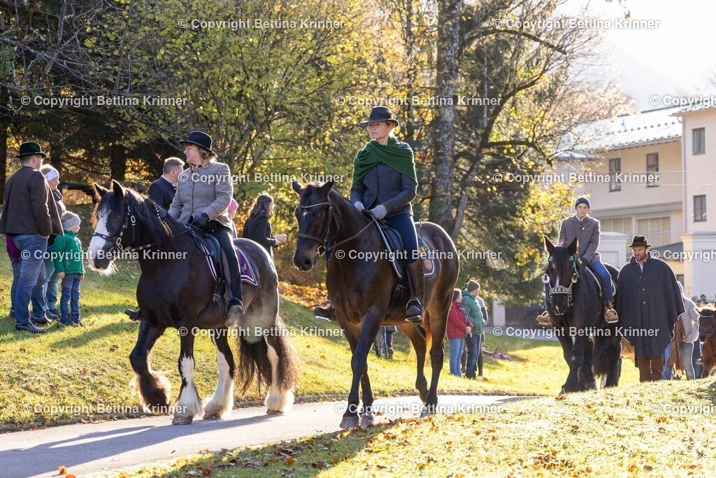 LL24-205 | foto-bettina-krinner - Realisiert mit Pictrs.com