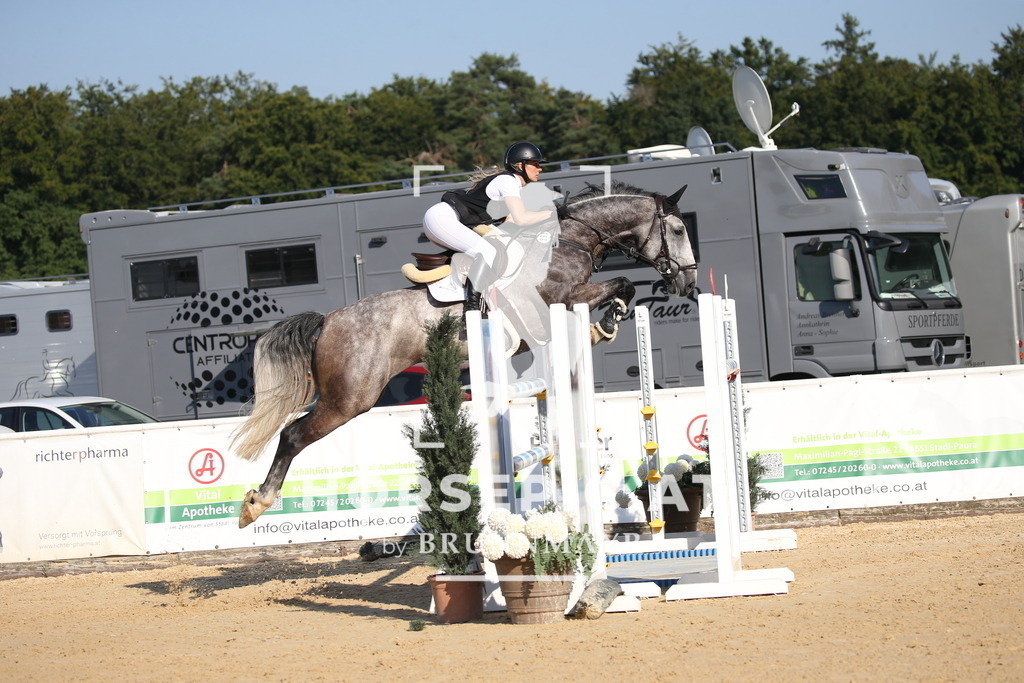 DL2Q5300 | Willkommen bei Brunnmayr - Design & Fotografie – Ihrem Spezialisten für Reitturniere und Pferdeveranstaltungen in Oberösterreich, Salzburg und Bayern! Seit über 17 Jahren sind wir leidenschaftlich dabei.