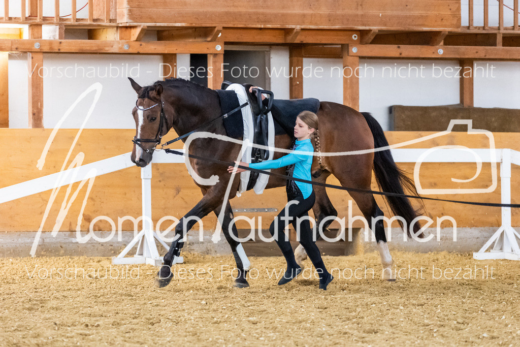 VTD-Voltigierpferde-064 | MomenTaufnahmen Pferdesportfotos