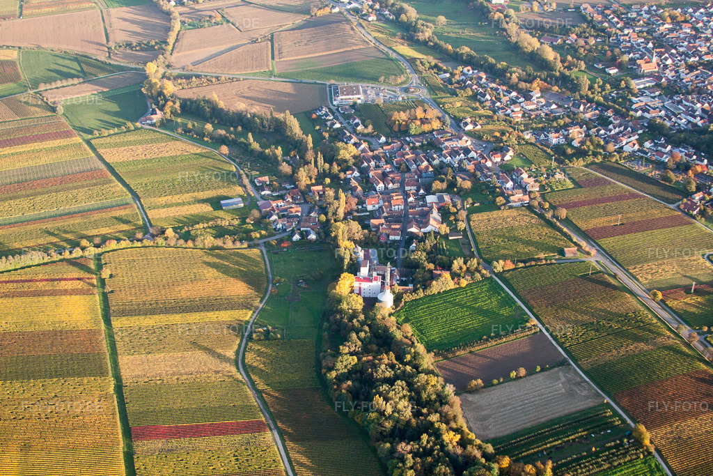 Luftbild: Dorfansicht im Ortsteil Appenhofen in Billigheim-Ingenheim im Bundesland Rheinland-Pfalz in Deutschland. Foto: IMG_60664.jpg vom 24.10.2013 durch Werner Riehm/FLY-FOTO.de