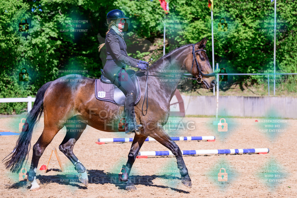 01052026-Giesenbach-02-Stiltrail-0461 | Fokus Hufschlag Fotografie - Realisiert mit Pictrs.com
