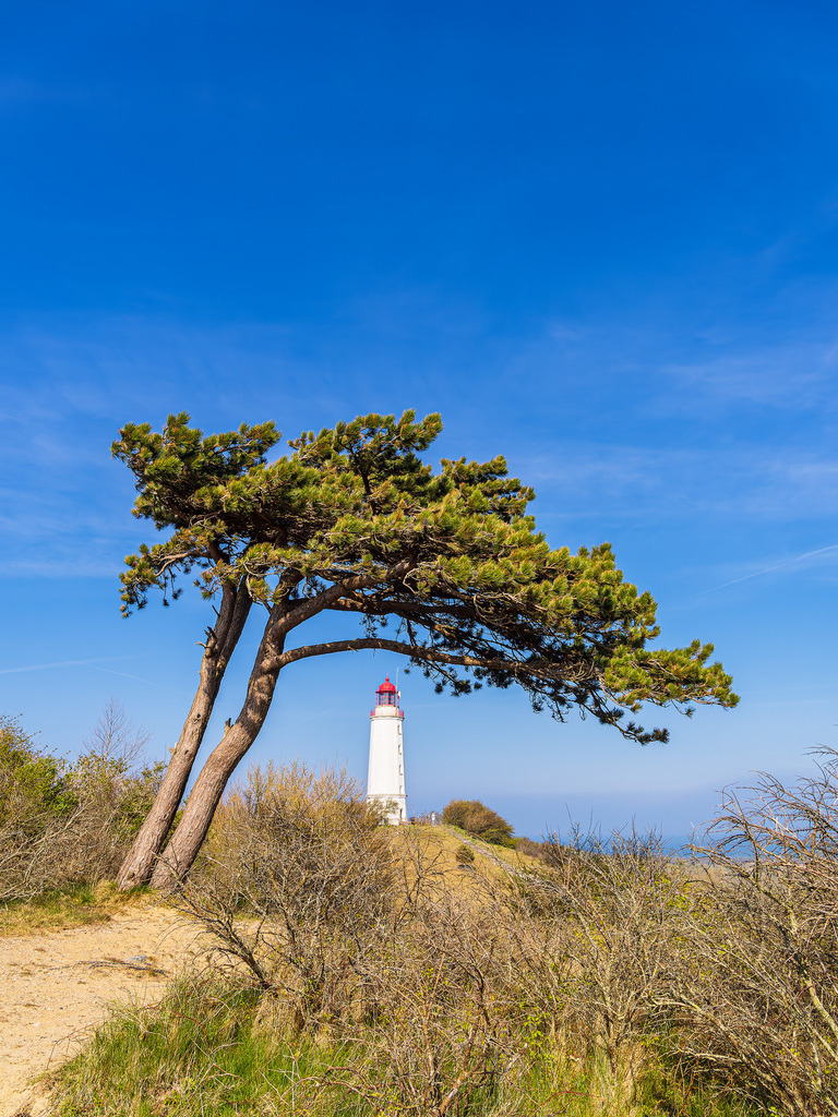 Der Leuchtturm Dornbusch auf der Insel Hiddensee | Der Leuchtturm Dornbusch auf der Insel Hiddensee.