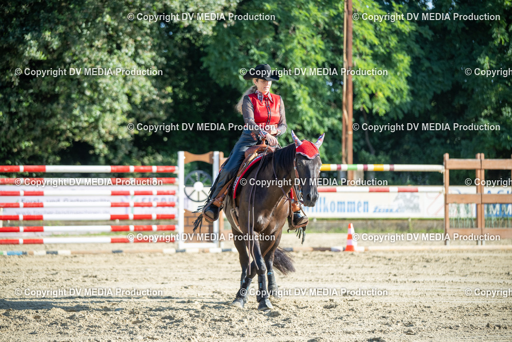 ZS1_0655 | dv-media-shop - Realisiert mit Pictrs.com