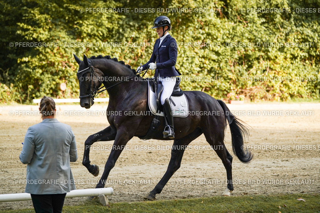 DSC04846 | Pferdegrafie