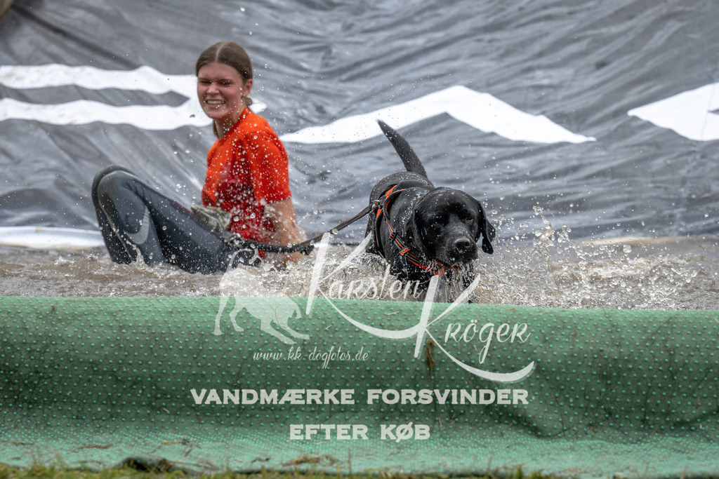 1525_ZZ93187 | kk-dogfotos