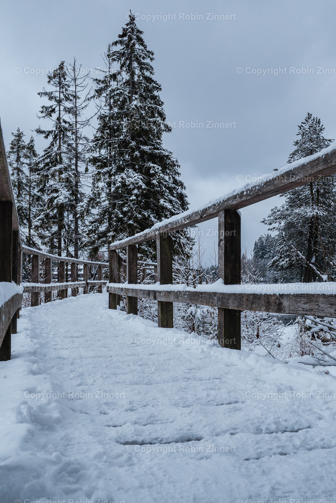 Fichtelsee_Winter00022 | Robin Zinnert - Realisiert mit Pictrs.com